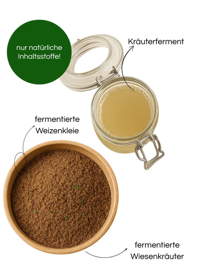 Balance Biotic petsbiotics