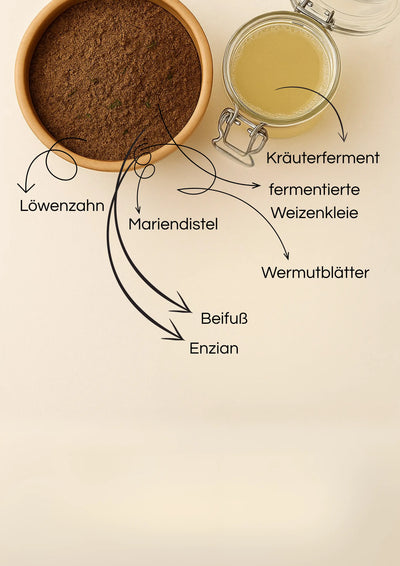 Entgiftung und Stoffwechsel - petsbiotics