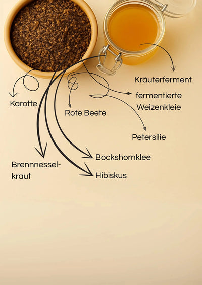Gutes Bauchgefühl - petsbiotics