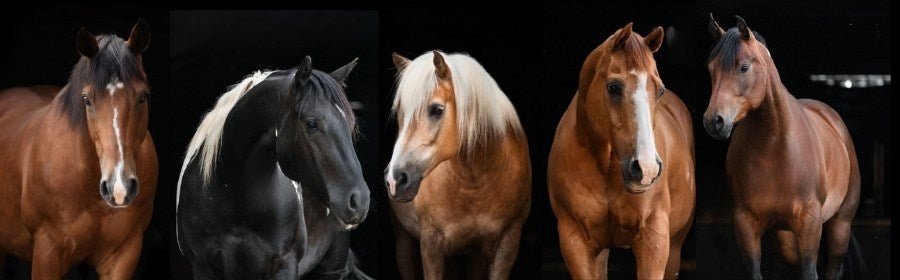 Überschrift hinzufügen (3000 x 3000 px).jpg__PID:ec8b10cf-c7d5-4523-9caa-6106a2b12a71